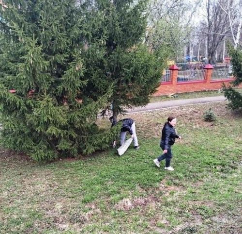 Лаешта май бәйрәмнәренә кадәр тәртип урнаштыралар