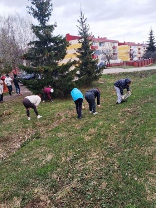 Лаешта май бәйрәмнәренә кадәр тәртип урнаштыралар