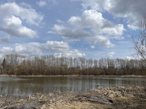Команда «ЭкоФеникс» бережет памятник природы в Лаишевском районе