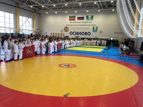 Бойцы Лаишевского района вернулись с соревнований с 38 медалями