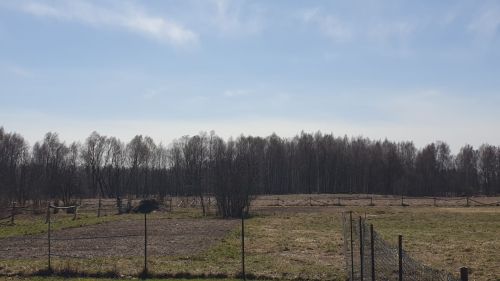 В четверг в Лаишевском районе усилится ветер до 20 м/с