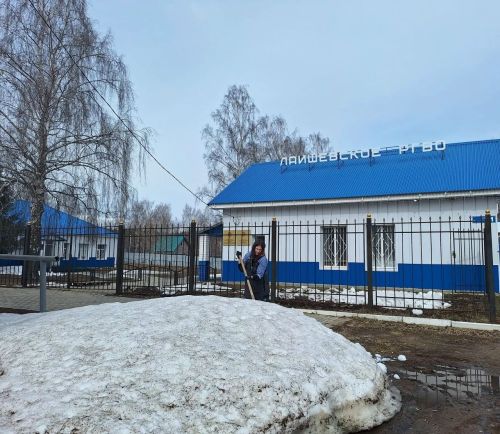 Ветврачи Лаишева подарили весну своему участку