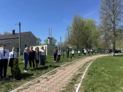 В память о погибших бойцах в Лаишевском районе высадили аллею туй