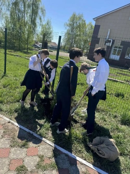 В память о погибших бойцах в Лаишевском районе высадили аллею туй