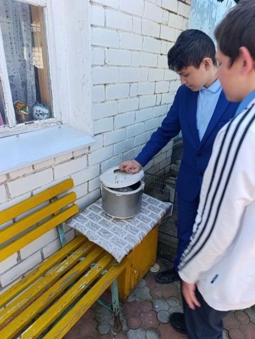 Лаишевские школьники раздавали обеды нуждающимся