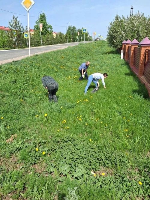 Субботники в детских садах Лаишева