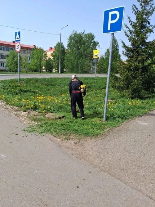 Субботники в детских садах Лаишева