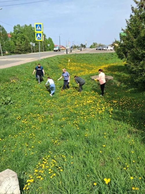 Субботники в детских садах Лаишева