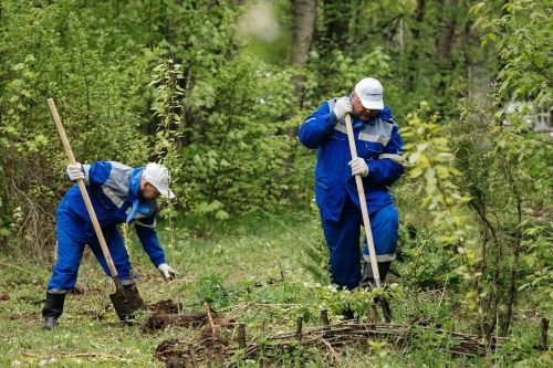 Волонтеры «Транснефть — Прикамье» благоустроили территорию экоцентра