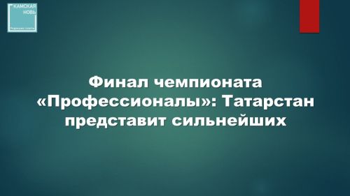 Участники из Татарстана выступят в финале чемпионата «Профессионалы»