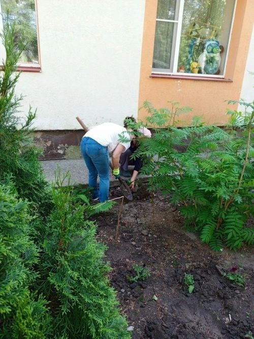 Лаишевские улицы и дворы украшаются цветами