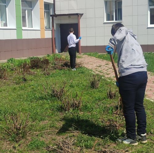 На пришкольных участках Лаишевского района кипит работа
