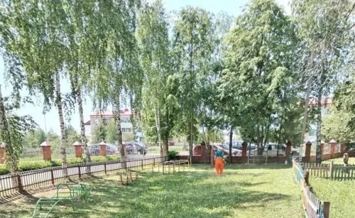 Лаишевские улицы и дворы украшаются цветами