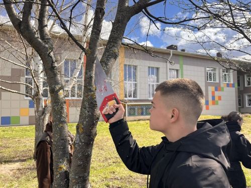 Команда «Движения Первых» Лаишевского района наводит порядок на подшефной территории