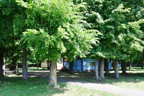 В лагере «Липки» открылась первая смена
