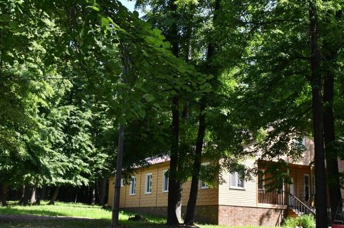 В лагере «Липки» открылась первая смена