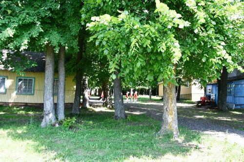 В лагере «Липки» открылась первая смена