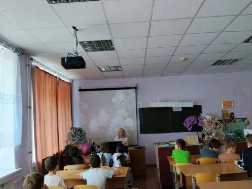 Дети Лаишевского района в каникулы изучают цветы и океаны