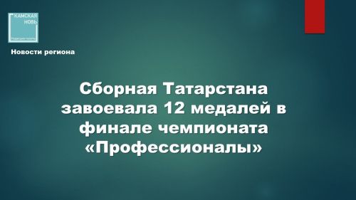 Сборная Республики Татарстан с триумфом выступила на финале чемпионата «Профессионалы»