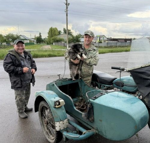 В Лаишевском районе продолжают вакцинировать домашних животных от бешенства