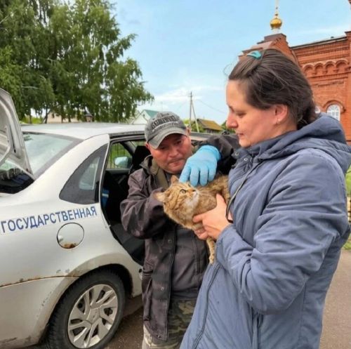 В Лаишевском районе продолжают вакцинировать домашних животных от бешенства