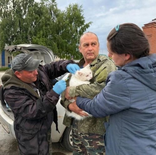 В Лаишевском районе продолжают вакцинировать домашних животных от бешенства