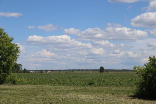 Понедельник в Лаишевском районе начнется с тепла, но может пойти дождь с грозой