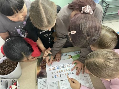 День русского языка в Лаишевском районе отметили викториной