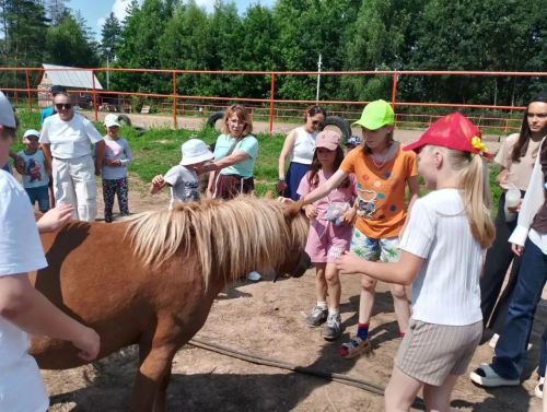 Волшебный день в конном клубе «Рассвет»