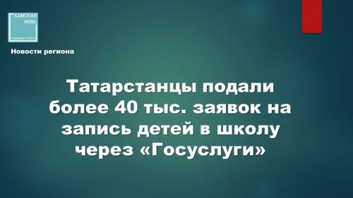 В Татарстане за три месяца подано более 40,8 тыс. заявлений в школы через Госуслуги