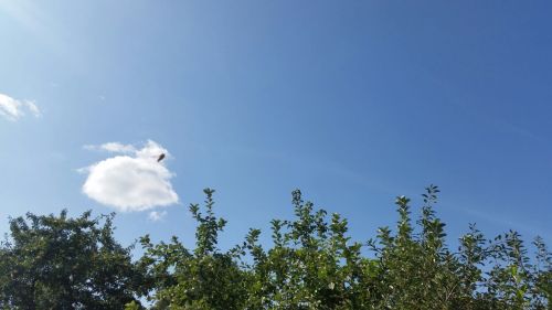 В Лаишевский район возвращается настоящее лето