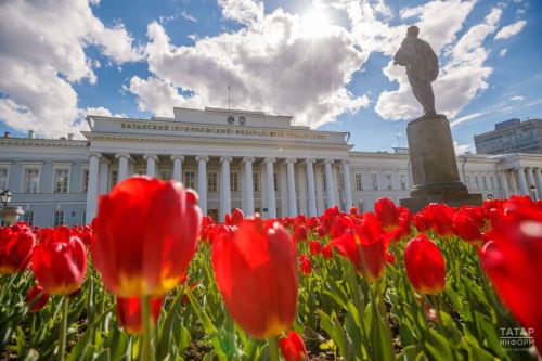 На этой неделе завершится прием заявлений на бюджетные места в российских вузах