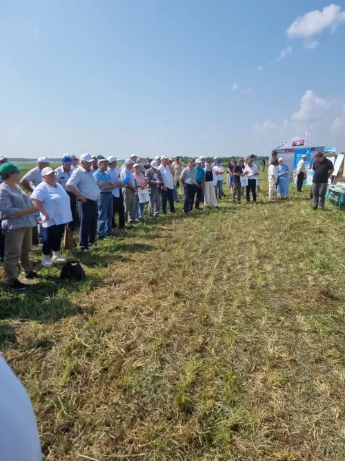 В Чистопольском районе стартовал семинар-совещание по растениеводству