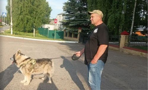 В Лаишевском районе продолжают вакцинировать и чипировать домашних животных
