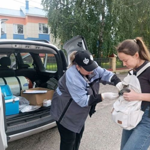 В Лаишевском районе продолжают вакцинировать и чипировать домашних животных