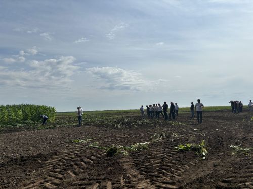 В Бутырях прошёл День поля HORSCH: современные технологии для эффективного земледелия