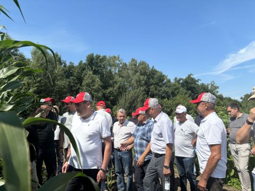 В Бутырях прошёл День поля HORSCH: современные технологии для эффективного земледелия
