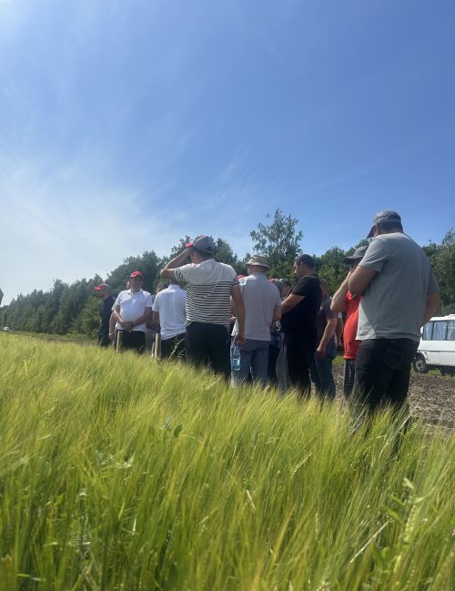 В Бутырях прошёл День поля HORSCH: современные технологии для эффективного земледелия