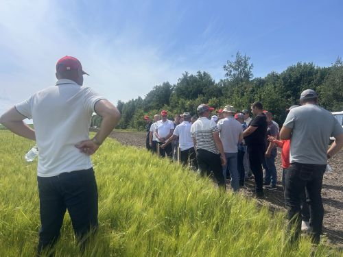 В Бутырях прошёл День поля HORSCH: современные технологии для эффективного земледелия