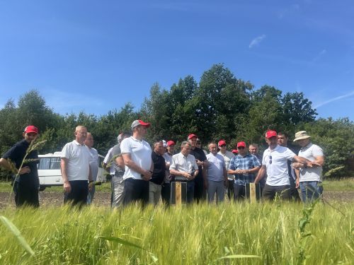 В Бутырях прошёл День поля HORSCH: современные технологии для эффективного земледелия