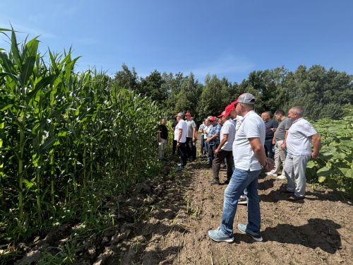 В Бутырях прошёл День поля HORSCH: современные технологии для эффективного земледелия