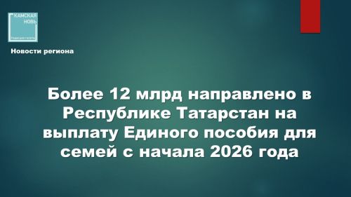 12 млрд рублей на Единое пособие поддержали тысячи семей в Татарстане