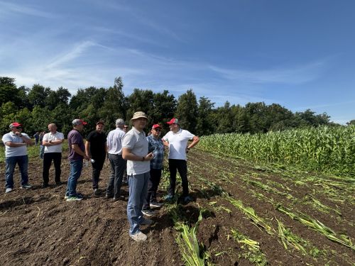 В Бутырях прошёл День поля HORSCH: современные технологии для эффективного земледелия