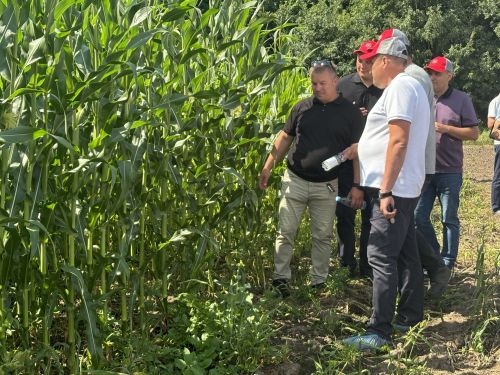 В Бутырях прошёл День поля HORSCH: современные технологии для эффективного земледелия