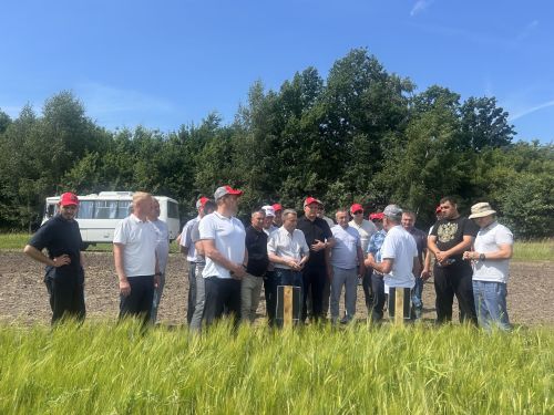 В Бутырях прошёл День поля HORSCH: современные технологии для эффективного земледелия