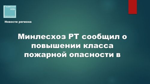 В лесах Татарстана установлен третий класс пожарной опасности