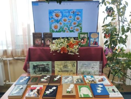 В Сокуровской библиотеке праздник семьи засиял ромашками, книгами и яркими играми