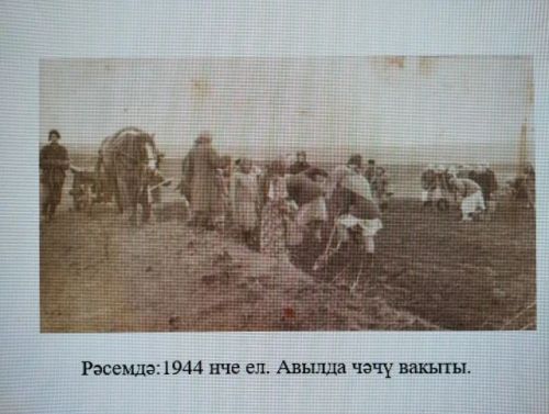 Шәҗәрә бәйгесендә лауреатыбыз бар: Сәлим Гатауллинны зур уңышы белән котлыйбыз!