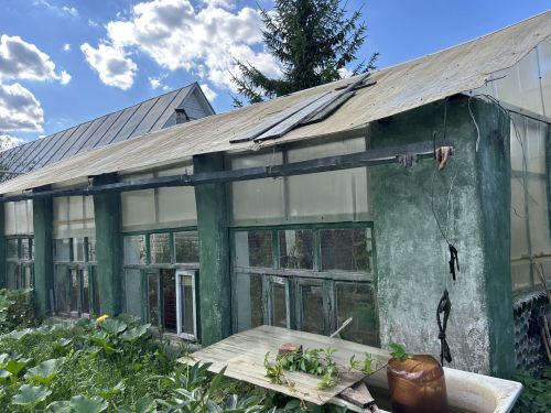 Альберт Кольцов из Татарстана вырастил лес в память о 166 участниках ВОВ