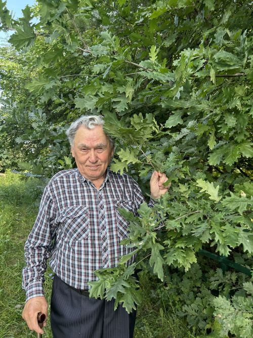 Альберт Кольцов из Татарстана вырастил лес в память о 166 участниках ВОВ